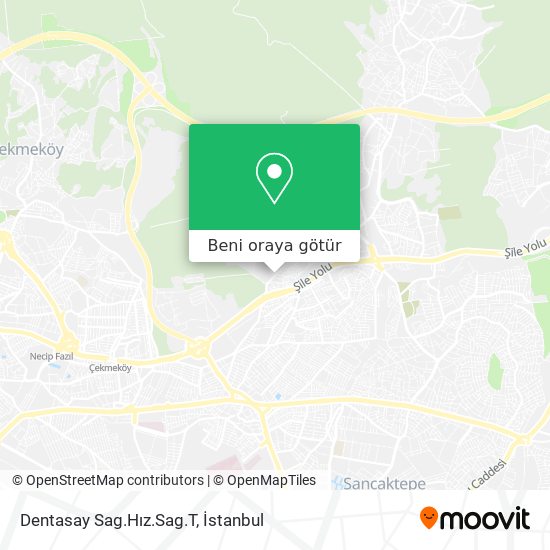 Dentasay Sag.Hız.Sag.T harita