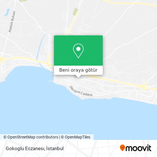 Gokoglu Eczanesı harita