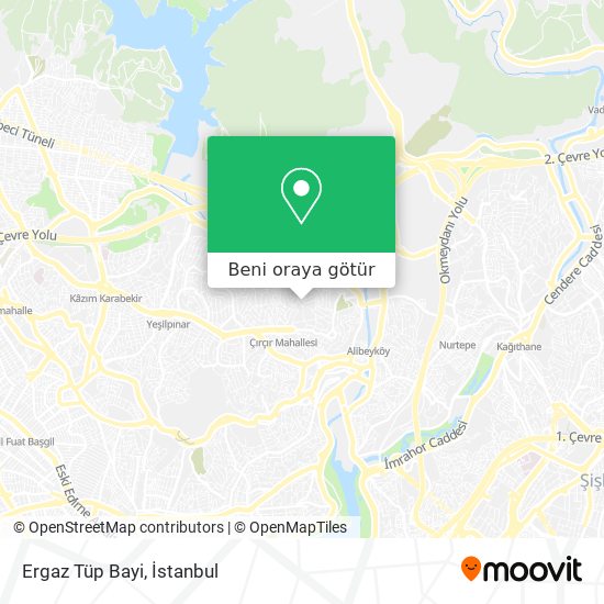 Ergaz Tüp Bayi harita