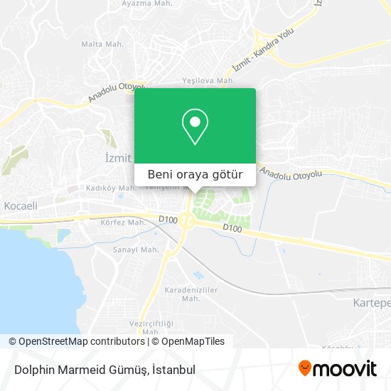 Dolphin Marmeid Gümüş harita