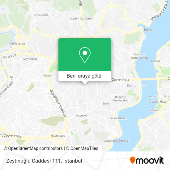 Zeytinoğlu Caddesi 111 harita