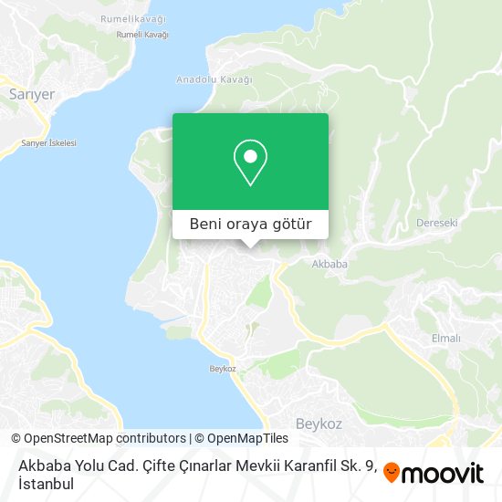 Akbaba Yolu Cad. Çifte Çınarlar Mevkii Karanfil Sk. 9 harita