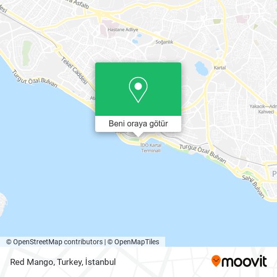 Red Mango, Turkey harita