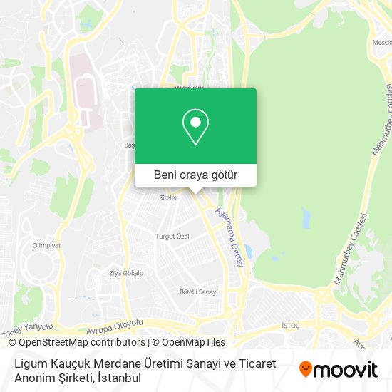 Ligum Kauçuk Merdane Üretimi Sanayi ve Ticaret Anonim Şirketi harita