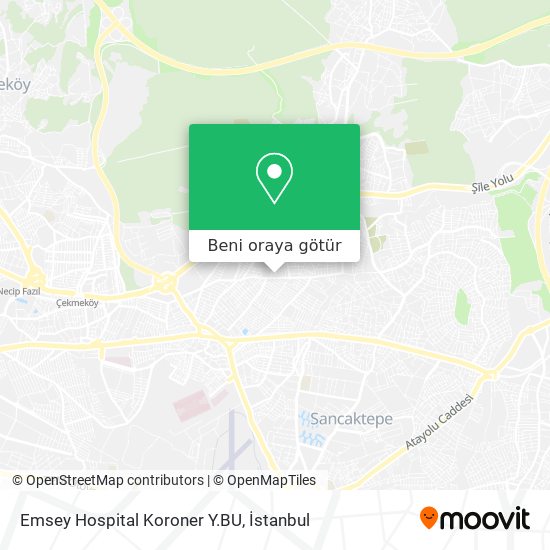 Emsey Hospital Koroner Y.BU harita
