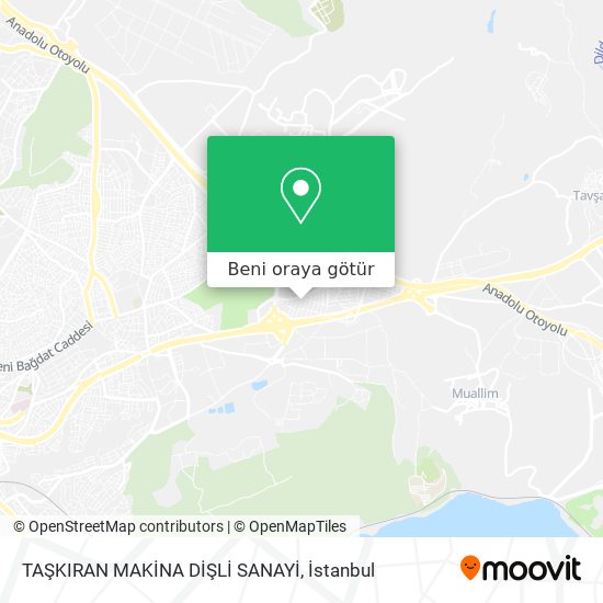 TAŞKIRAN MAKİNA DİŞLİ SANAYİ harita