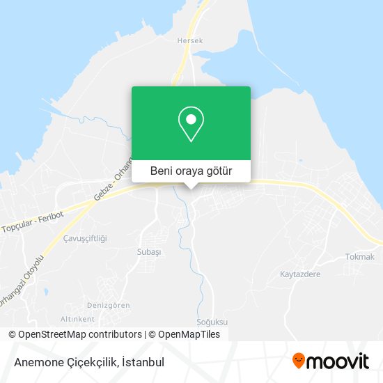 Anemone Çiçekçilik harita