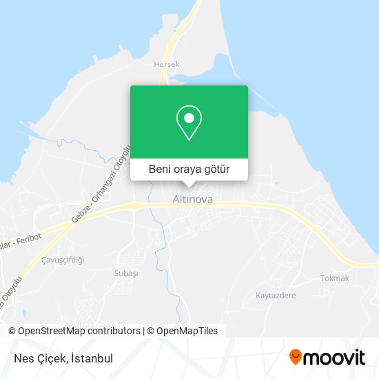 Nes Çiçek harita