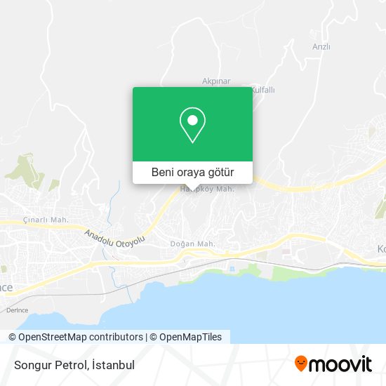 Songur Petrol harita