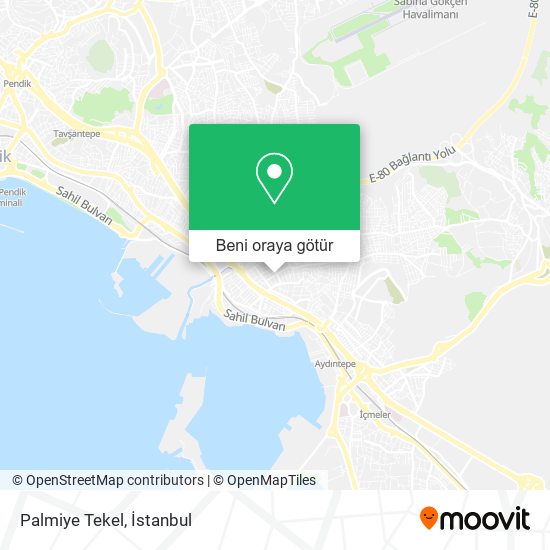Palmiye Tekel harita