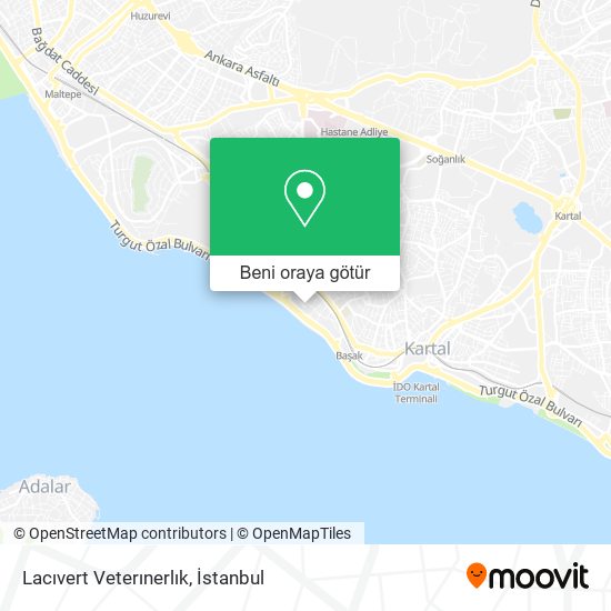 Lacıvert Veterınerlık harita
