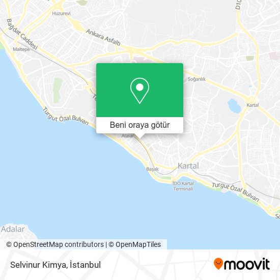 Selvinur Kimya harita