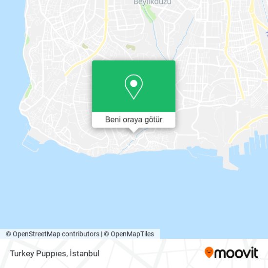 Turkey Puppıes harita