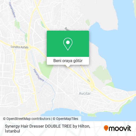Synergy Hair Dresser DOUBLE TREE by Hilton harita