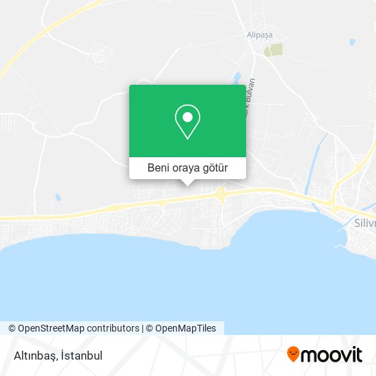 Altınbaş harita