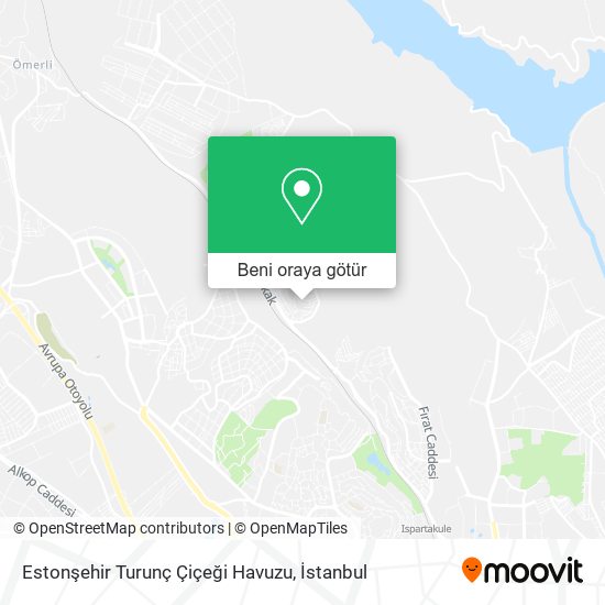 Estonşehir Turunç Çiçeği Havuzu harita