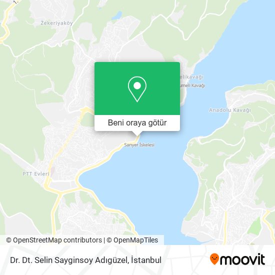 Dr. Dt. Selin Sayginsoy Adıgüzel harita