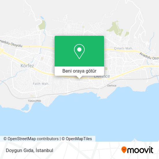 Doygun Gıda harita