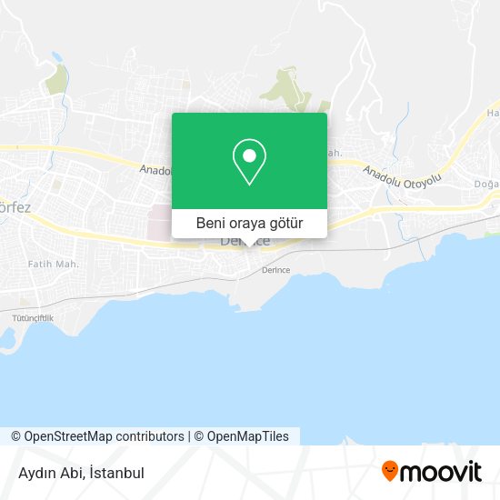 Aydın Abi harita