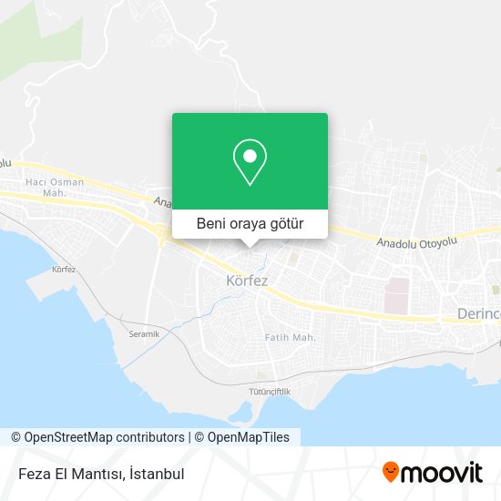 Feza El Mantısı harita