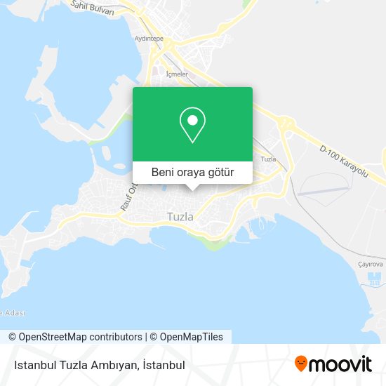 Istanbul Tuzla Ambıyan harita