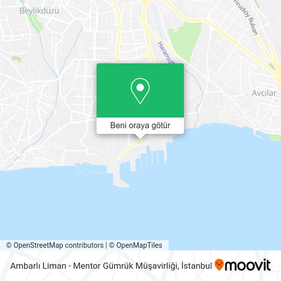 Ambarlı Liman - Mentor Gümrük Müşavirliği harita