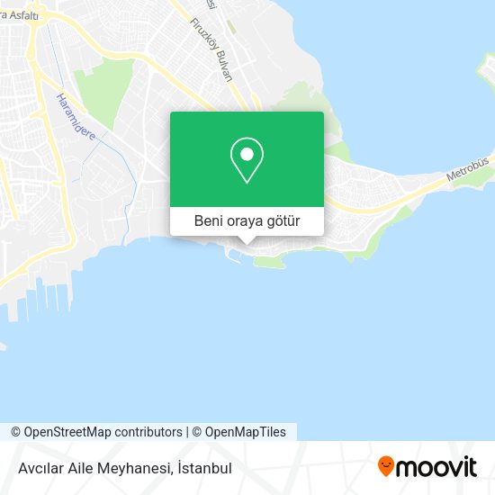 Avcılar Aile Meyhanesi harita
