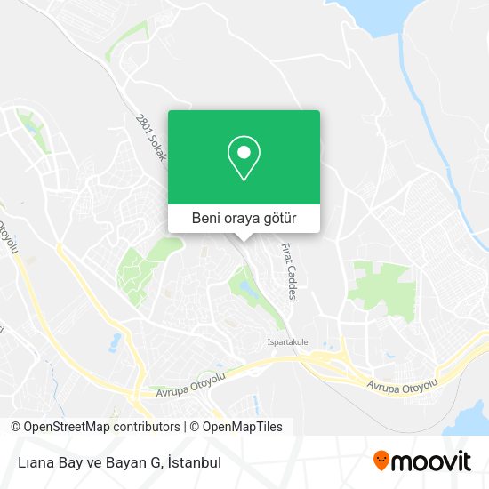 Lıana Bay ve Bayan G harita