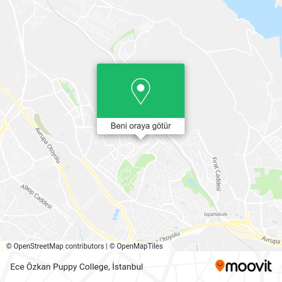 Ece Özkan Puppy College harita