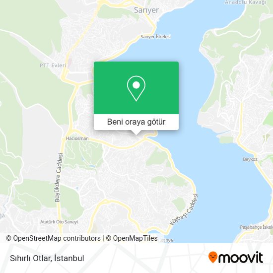 Sıhırlı Otlar harita