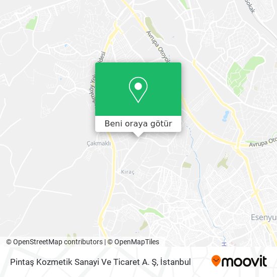 Pintaş Kozmetik Sanayi Ve Ticaret A. Ş harita