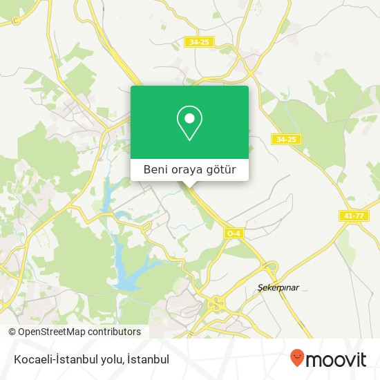 Kocaeli-İstanbul yolu harita