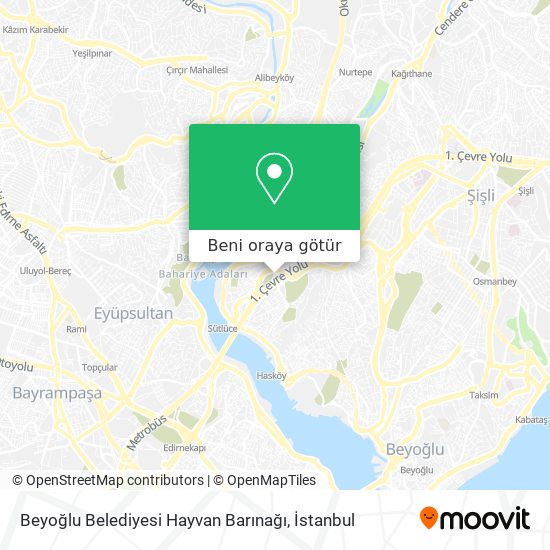 Beyoğlu Belediyesi Hayvan Barınağı harita