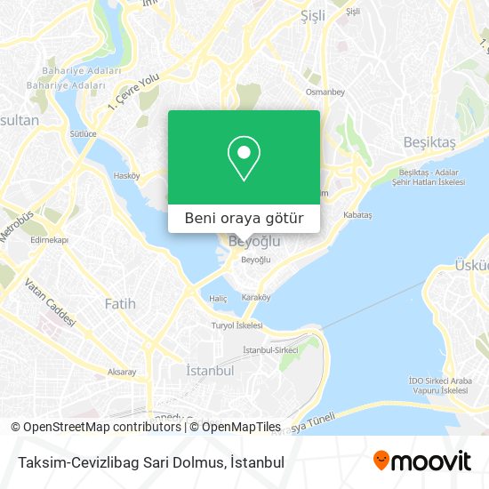 Taksim-Cevizlibag Sari Dolmus harita