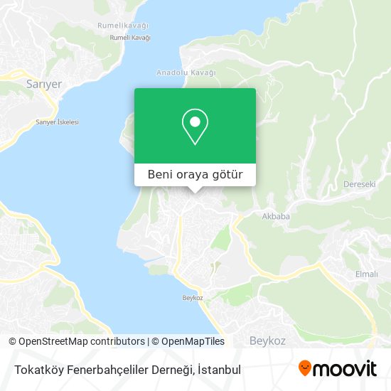 Tokatköy Fenerbahçeliler Derneği harita