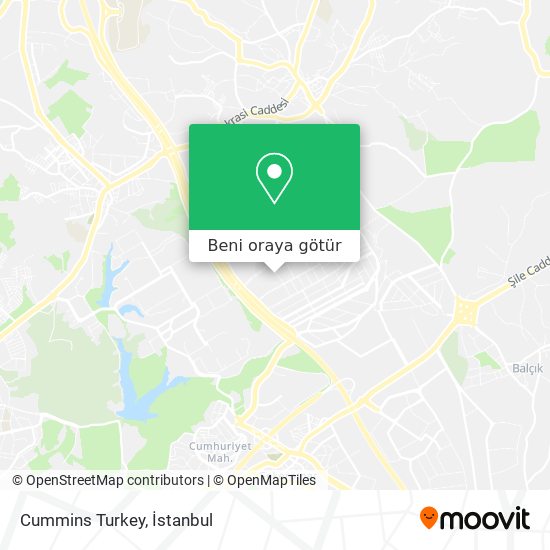 Cummins Turkey harita