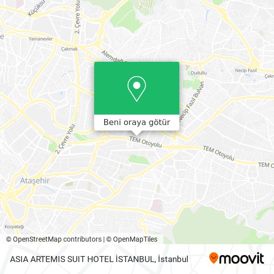 ASIA ARTEMIS SUIT HOTEL İSTANBUL harita