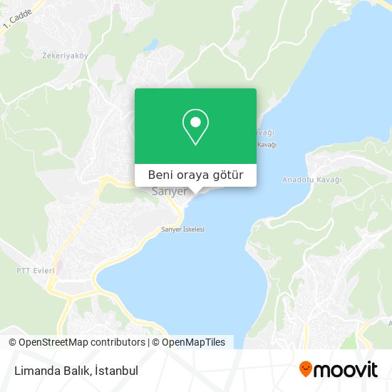 Limanda Balık harita