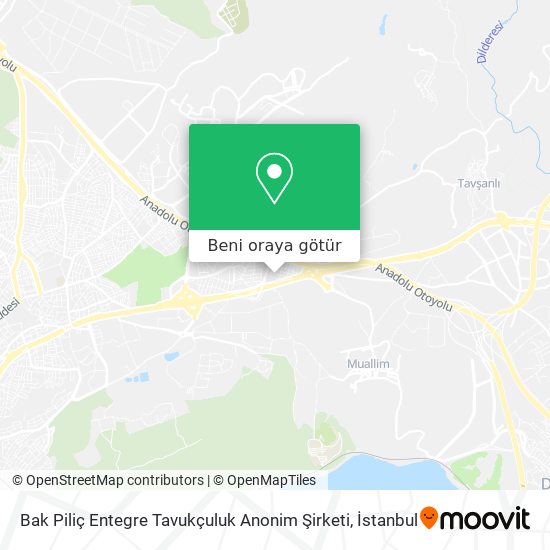 Bak Piliç Entegre Tavukçuluk Anonim Şirketi harita