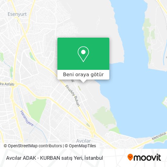 Avcılar ADAK - KURBAN satış Yeri harita