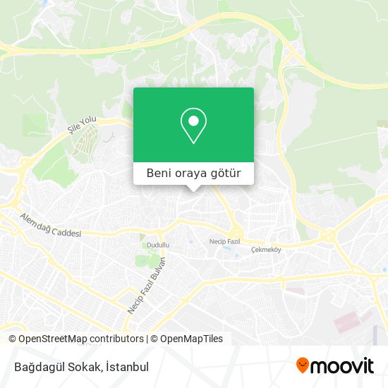 Bağdagül Sokak harita