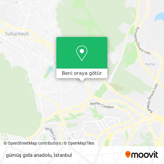 gümüş gıda anadolu harita