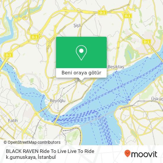 BLACK RAVEN Ride To Live Live To Ride k.gumuskaya harita