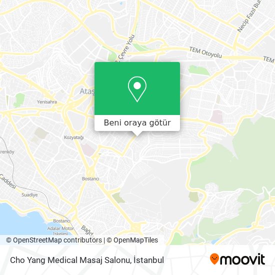 Cho Yang Medical Masaj Salonu harita