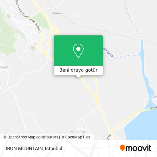 IRON MOUNTAIN harita