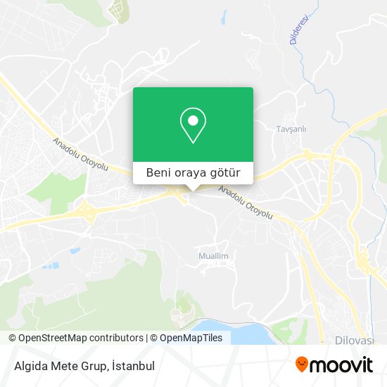 Algida Mete Grup harita