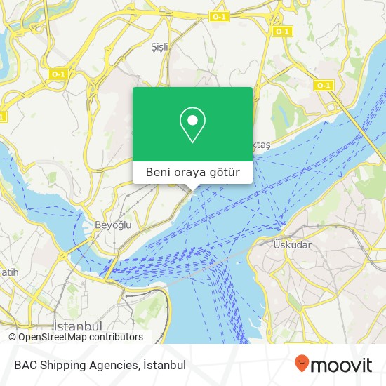 BAC Shipping Agencies harita