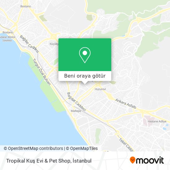 Tropikal Kuş Evi & Pet Shop harita