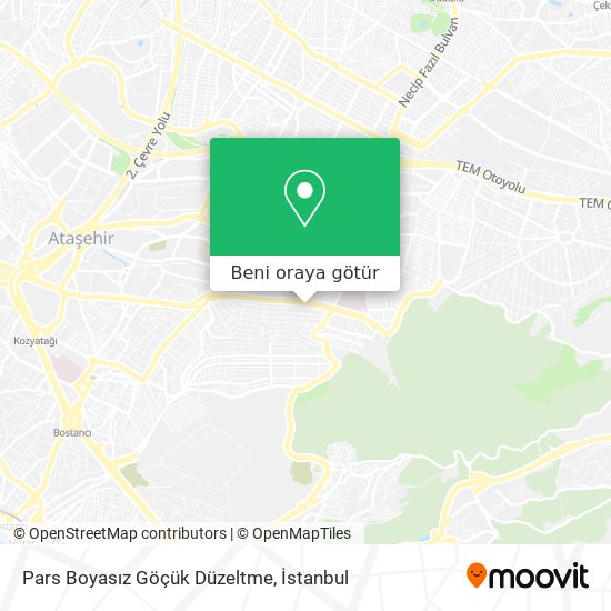 Pars Boyasız Göçük Düzeltme harita