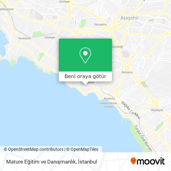 Mature Eğitim ve Danışmanlık harita